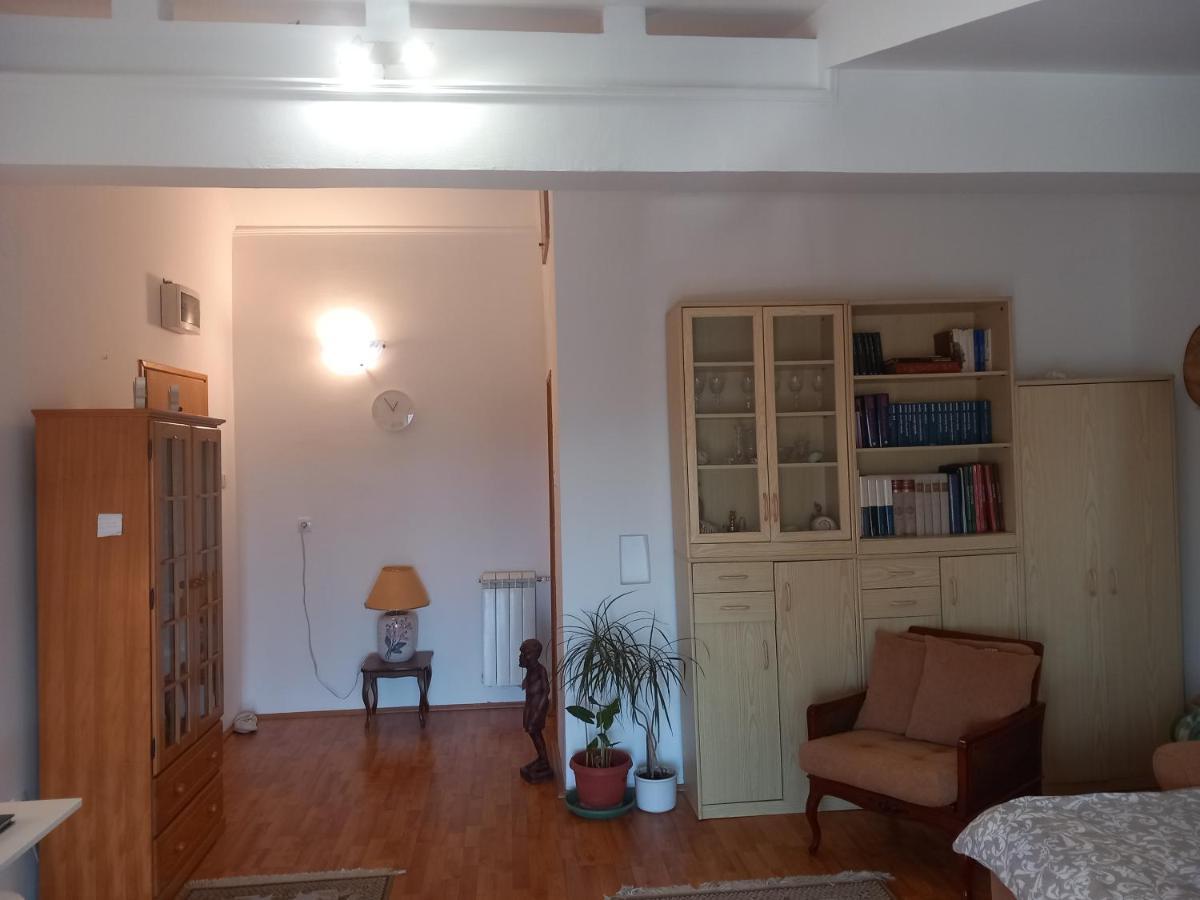 Cosy Rooftop Studio With Balcony Belgrado Buitenkant foto